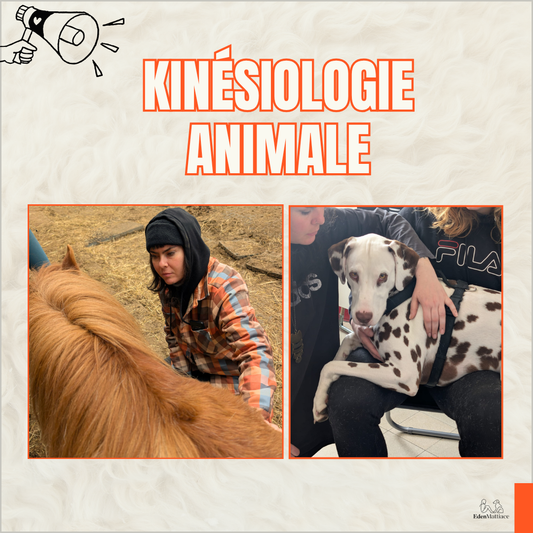 Kinésiologie Animale